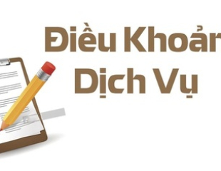 Điều khoản dịch vụ